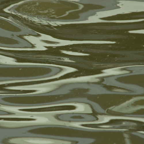 Fashion, Water Pollution and PFAS