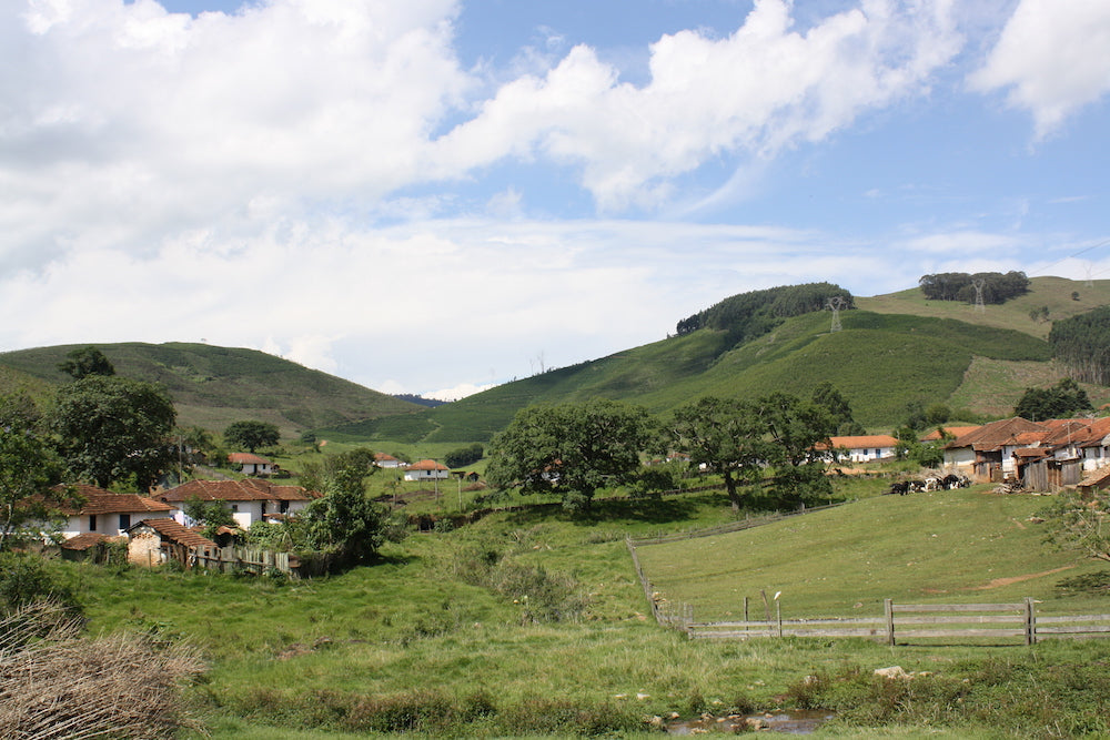 Nossa Familia Coffee: Brazil Decaf