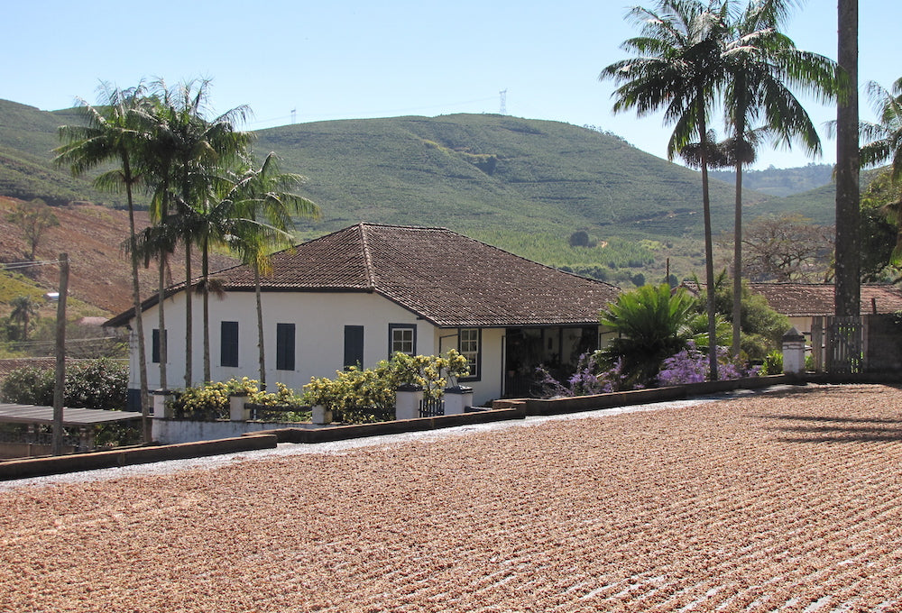 Nossa Familia Coffee: Brazil Decaf