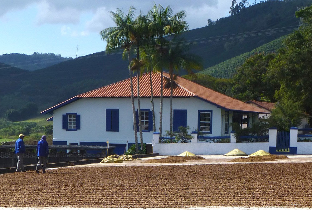 Nossa Familia Coffee: Brazil Decaf