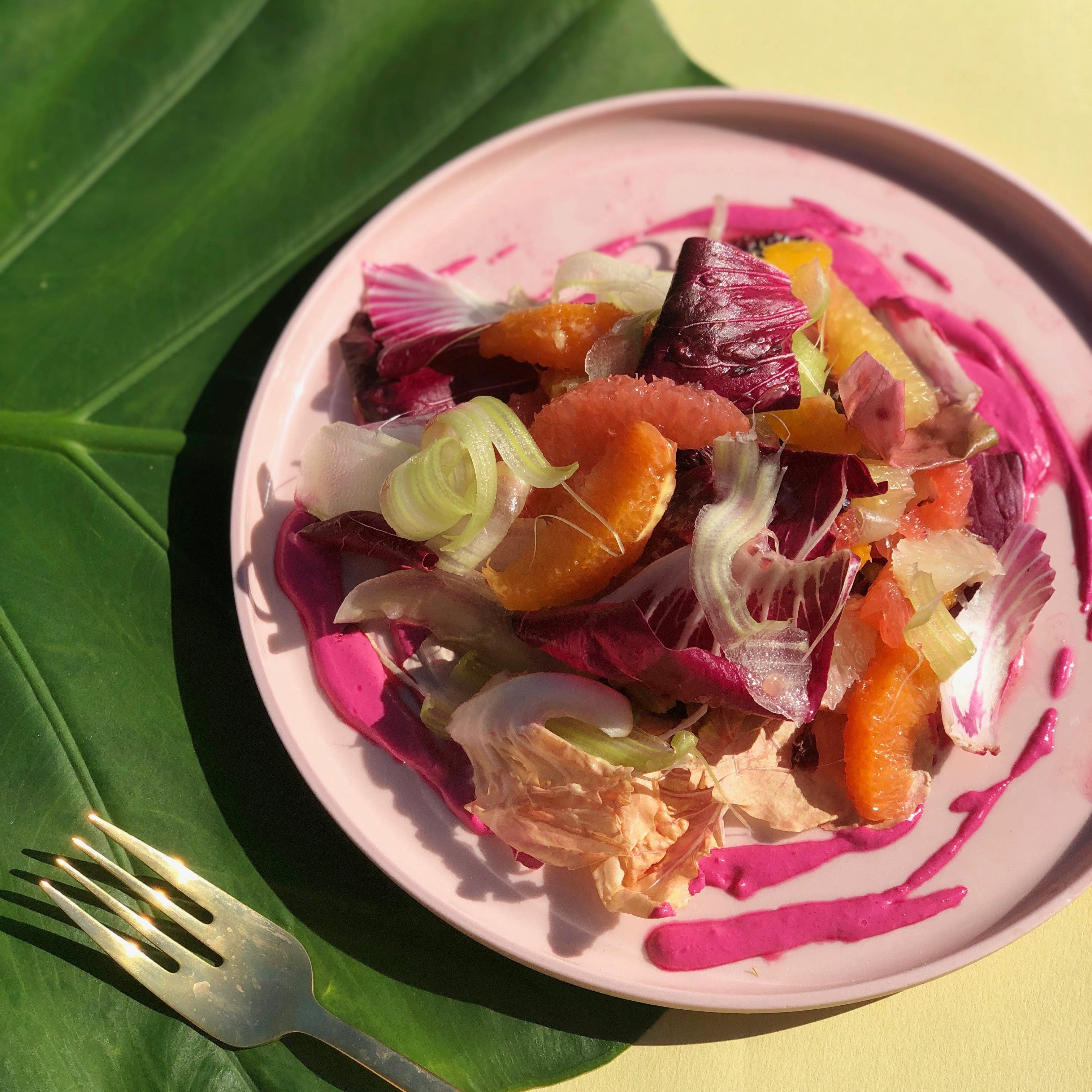 Eat Your Flowers: Citri Cookbook Zine