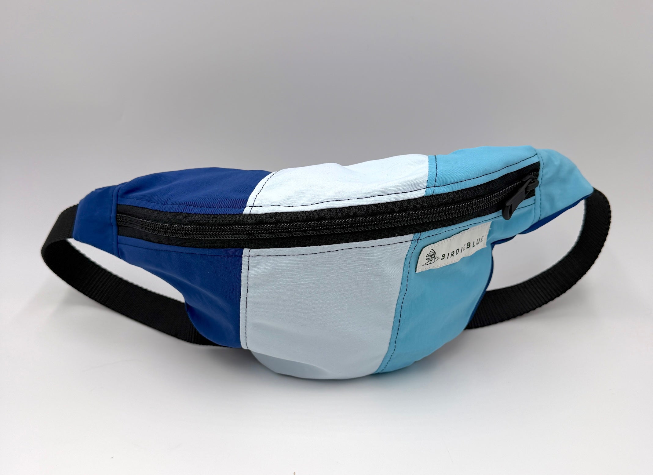 BirdieBlue: The Fanny Pack