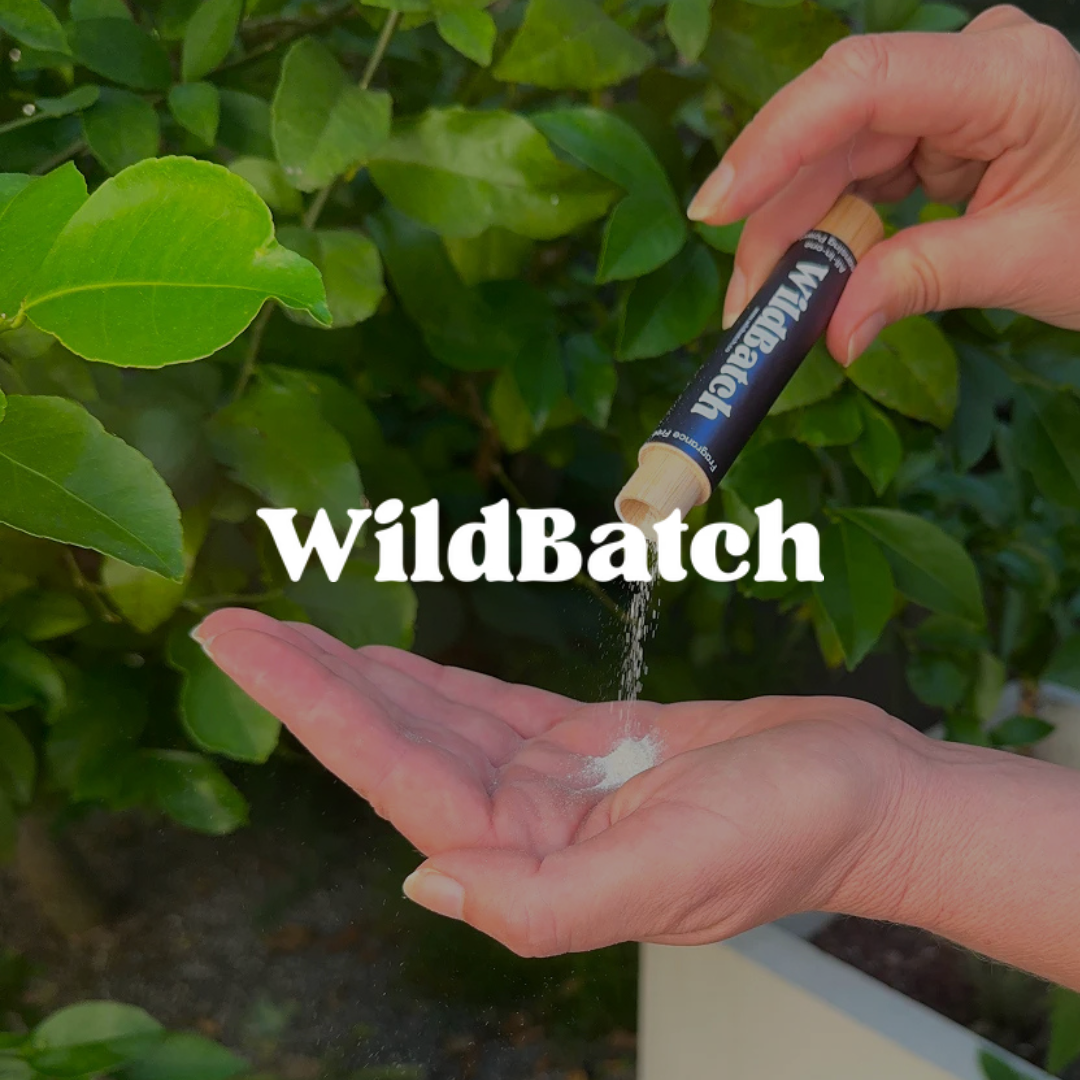 Person holding a tube labeled 'WildBatch' over an open palm with green leaves in the background