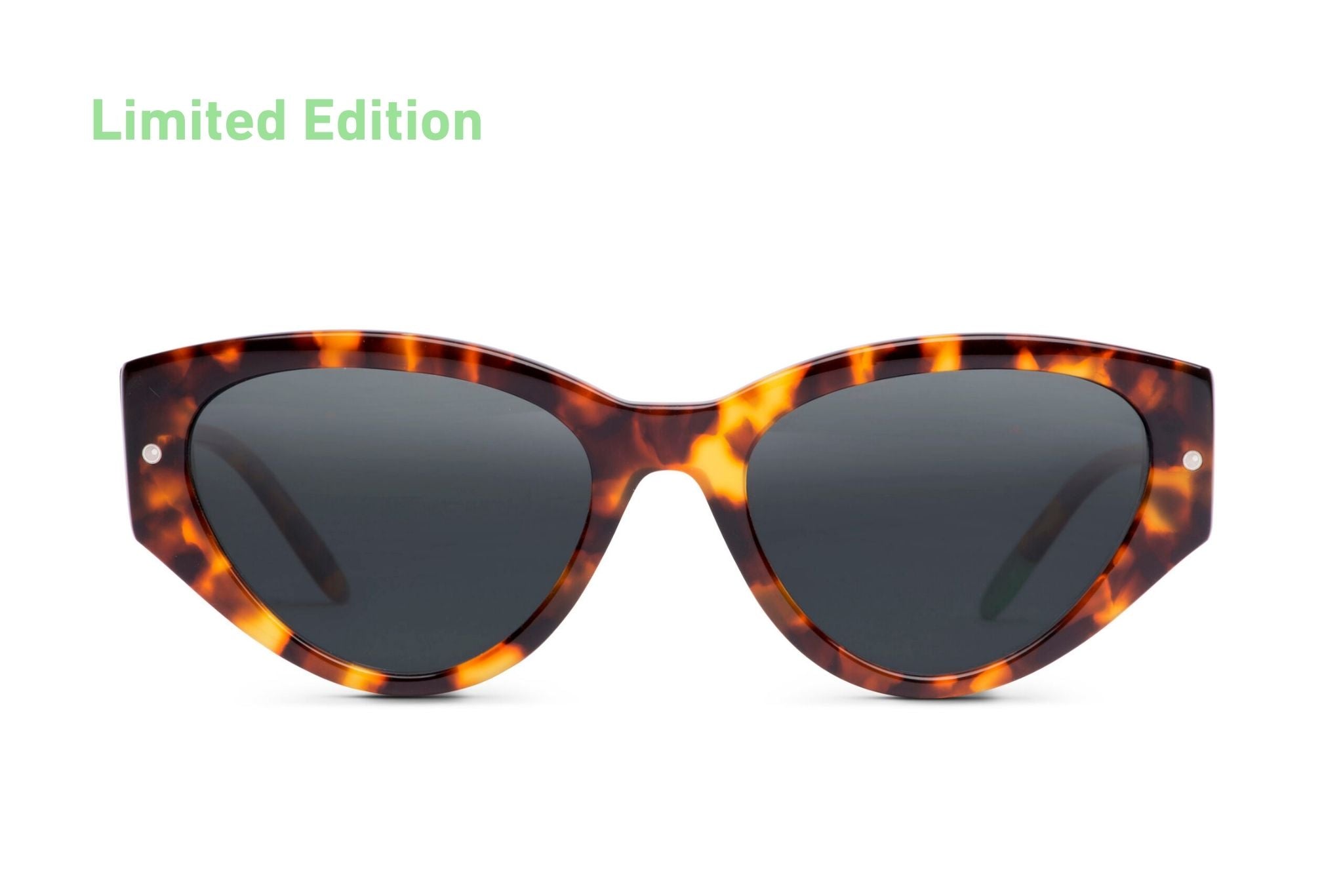 Otaaki: Scandola – Tortoise - SUN