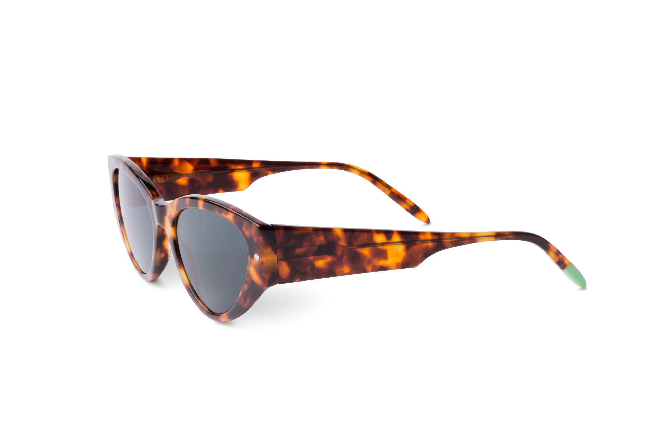 Otaaki: Scandola – Tortoise - SUN