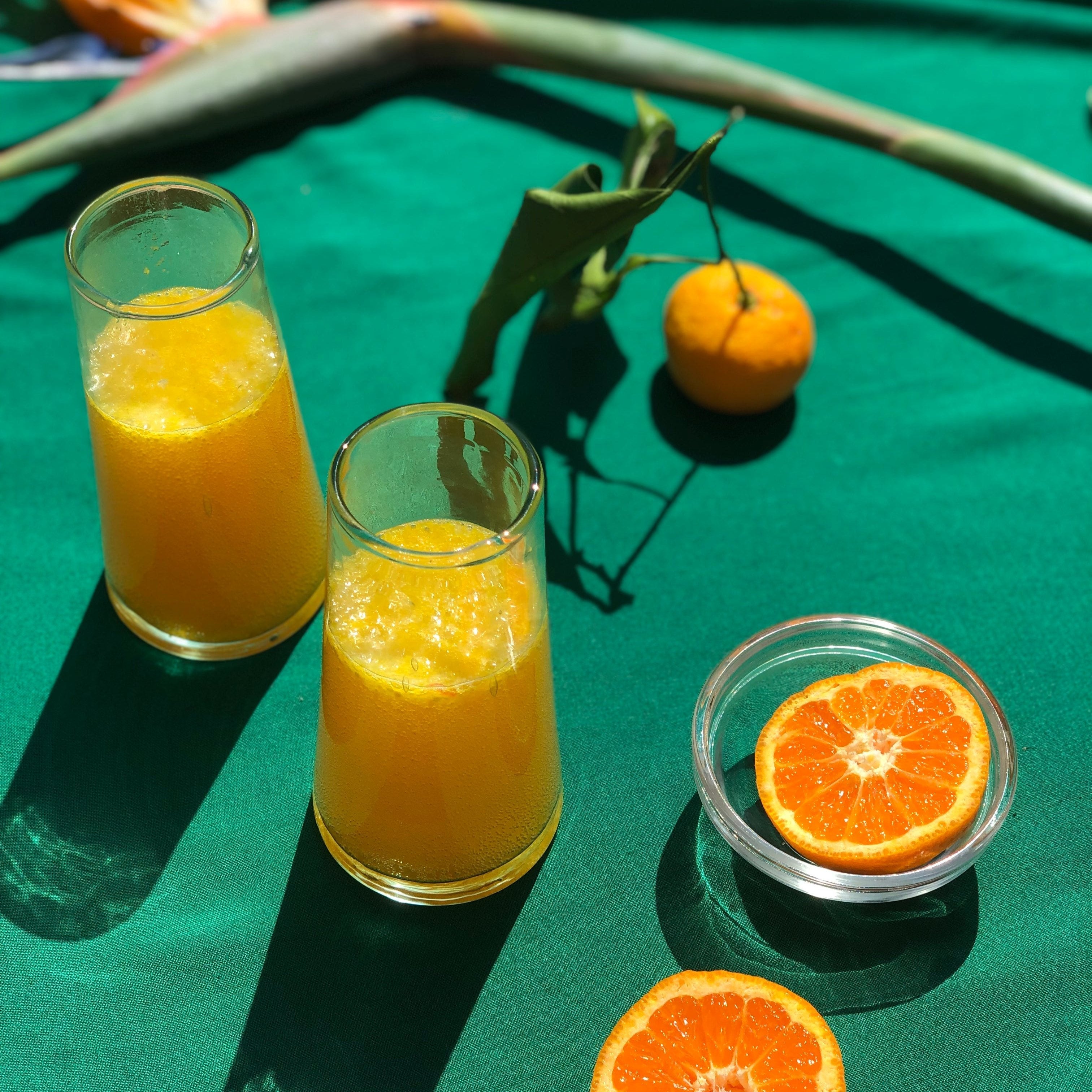 Eat Your Flowers: Citri Cookbook Zine